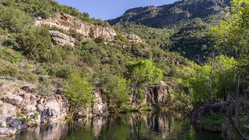 A calm creek reflecting green trees and canyon cliffs under a blue sky.