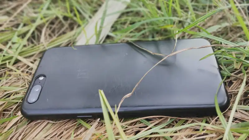 A black smartphone lying face down in green and dry grass.
